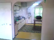 �_�C�j���O �{�H�O