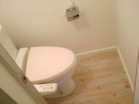 �g�C���{�H��