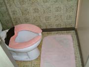 �g�C���{�H�O