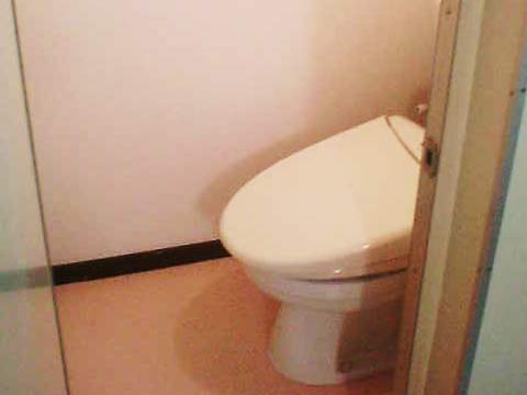 �}���V�����S���� �g�C���{�H��