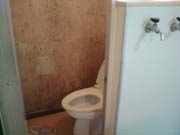 �}���V�����S���� �g�C���{�H�O