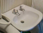 ���ʏ��{�H�O